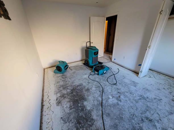 Reliable Mosheim, TN Water damage restoration Solutions