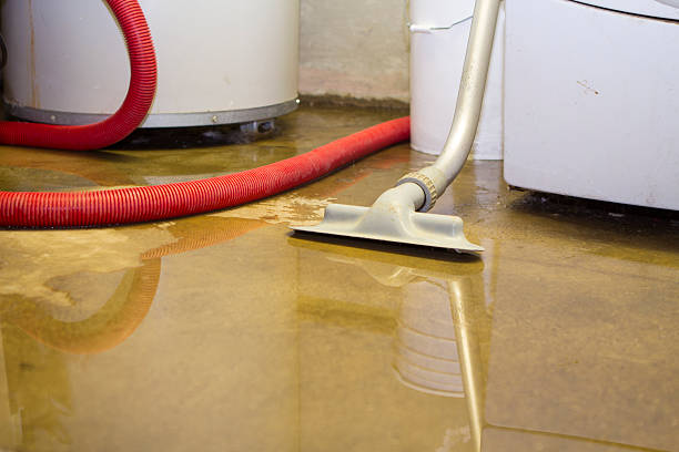 Best Local water damage restoration  in Mosheim, TN
