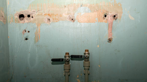 Best Flood damage cleanup  in Mosheim, TN