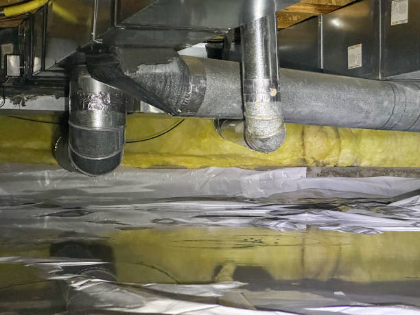 Best Residential water damage restoration  in Mosheim, TN
