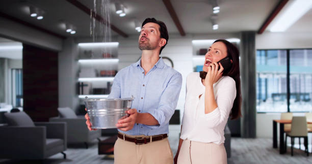 Best Professional water damage repair  in Mosheim, TN